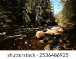 Autumn scene of Whiskey Rapids moving over rocks through a forest in Algonquin Provincial Park