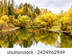 autumn scene of the Whitefish River in Whitefish, Montana with colorful broad-leafed trees.