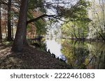 Autumn sceneries along the North Edisto River, Orangeburg, SC, USA