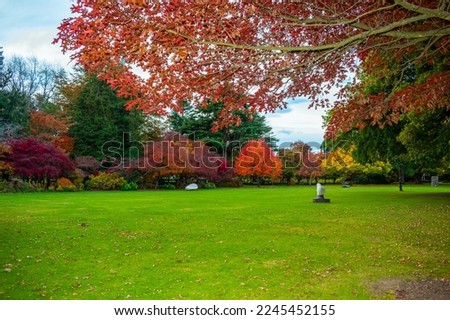 Autumn Scenery at Ashburton Garden Domain, Canterbury Region New Zealand