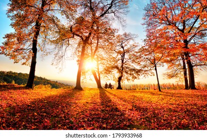 2,384,225 Autumn lights Images, Stock Photos & Vectors | Shutterstock