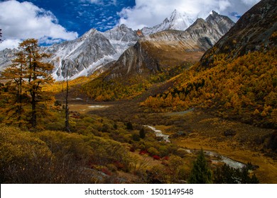 Autumn Scenery Of Inagi Aden