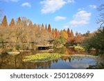 Autumn scenery of Jinju Arboretum, Gyeongnam