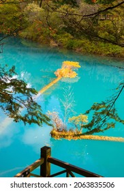 Autumn scenery of Jiuzhaigou. Taken on the Rize valley of Jiuzhaigou Scenic Area. Jiuzhaigou Scenic Area is located in Jiuzhaigou County, Sichuan, China.