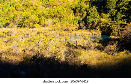 Autumn scenery of Jiuzhaigou. Taken on the Shuzheng valley of Jiuzhaigou Scenic Area. Jiuzhaigou Scenic Area is located in Jiuzhaigou County, Sichuan, China.