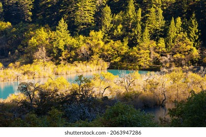 Autumn scenery of Jiuzhaigou. Taken on the Shuzheng valley of Jiuzhaigou Scenic Area. Jiuzhaigou Scenic Area is located in Jiuzhaigou County, Sichuan, China.