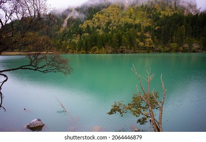Autumn scenery of Jiuzhaigou. Taken on the Rize valley of Jiuzhaigou Scenic Area. Jiuzhaigou Scenic Area is located in Jiuzhaigou County, Sichuan, China.