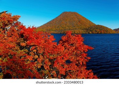 
Autumn scenery of Lake Haruna 榛名湖, with fiery maple foliage on the lakeside and Mount Haruna-Fuji 榛名富士 blanketed with beautiful fall colors under blue clear sky on a bright sunny day, in Gunma, Japan