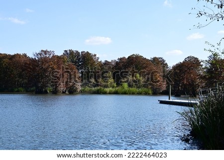 Autumn scenery of Lake Marion, Lonestar, SC, USA