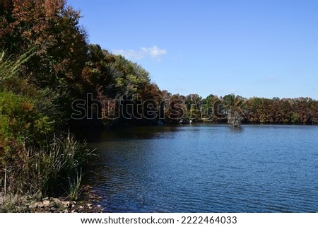 Autumn scenery of Lake Marion, Lonestar, SC, USA