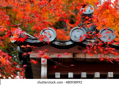 Autumn scenery of Nison-In (二尊院)　Buddhist temple in Arashiyama, Kyoto, Japan, with fiery maple foliage over the roof of a traditional Japanese building in a peaceful, zen-like atmosphere