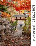 Autumn scenery of a park in Sapporo, Hokkaido