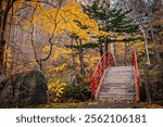 Autumn scenery of a park in Sapporo, Hokkaido