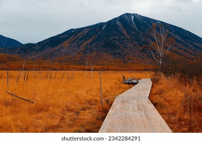 Autumn scenery of Senjogahara 戦場ヶ原, which is a preserved wetland in Nikko National Park, with a wooden plank pathway thru the grassland and Mount Nantai 男体山 in background, in Tochigi Prefecture, Japan