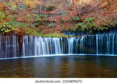 Autumn scenery of the silky Shiraito Waterfall (白糸の滝), which flows down the rocky cliff into a pond in a mysterious forest with fall colors on the mountainside, in Karuizawa, Nagano Prefecture, Japan