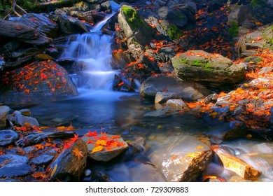 Autumn scenery in Taroko National Park, along the footpath, Waterfall, stream, moss, chrysanthemum, rock compose With colorful fiery foliage is Taiwan Autumn aesthetic sense.Dayuling,Hualien,Asia. - Shutterstock ID 729309883