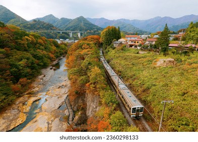 Autumn scenery of a train of JR Joetsu Line traveling along a river between Minakami and Kamimoku, with beautiful fall colors by Suwakyo (Suwa Gorge) and Mount Tanigawa in background, in Gunma, Japan