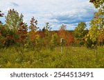 Autumn scenery at Trent University Nature Area