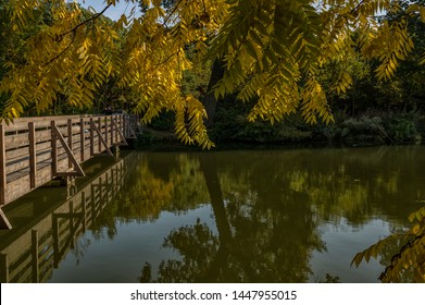 Autumn scenery - Wooden bridge across old Dyje - Lednice–Valtice Cultural Landscape