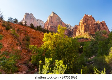Autumn scenery in Zion National Park, Utah - Shutterstock ID 697333963