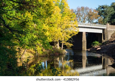 Autumn Scenes In The Kyneton Botanical Gardens, On The Campaspe River.