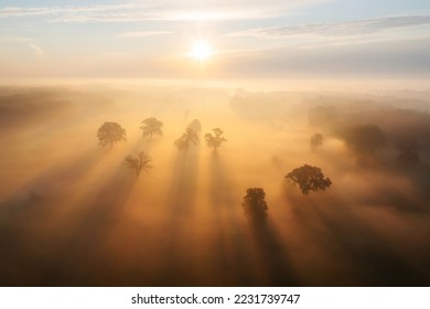 Autumn scenic morning. Picturesque autumn sunrise over a field in the fog. Morning scene with shadows of trees in mist. Fall landscape with a bright sun in a clear sky. - Powered by Shutterstock