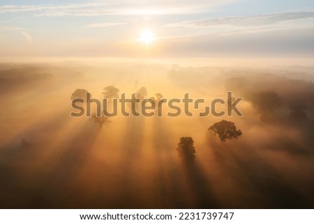 Autumn scenic morning. Picturesque autumn sunrise over a field in the fog. Morning scene with shadows of trees in mist. Fall landscape with a bright sun in a clear sky.