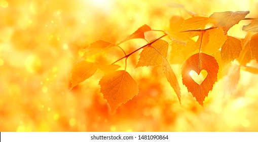 Autumn Season. Beautiful Autumn Yellow-orange Leaves, Bright Natural Background. Fall Time Concept. Birch Leaf With Hole Of Heart Shape. Copy Space