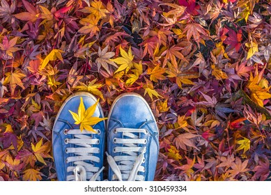 Autumn season in hipster style shoes - Powered by Shutterstock