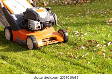 Autumn season, lawn mowing in the garden - Shutterstock ID 2339010683