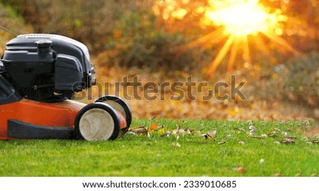 Autumn season, lawn mowing in the garden