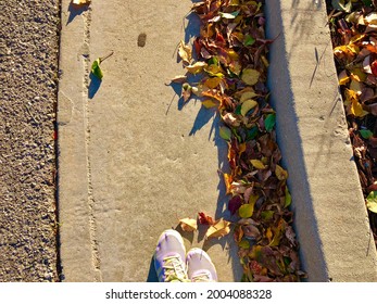 Autumn Season In Menlo Park, California, Bay Area, West Coast, Fall Vibes, Purple Shoes, Running Sneakers, Tennis Shoes, Yellow, Lilac, Purple, Colorful Leaves, Walk, Exercise, Evening Walk, Golden  