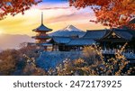 Autumn season at sunset in Japan. Travel concept.