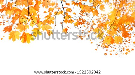 Similar – Bunter Rahmen Herbst