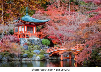 Autumn season,The leave change color of red in Temple japan.