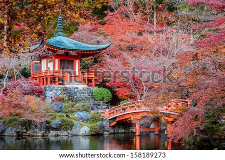 Autumn season,The leave change color of red in Temple japan.