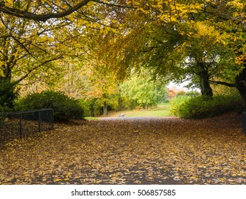 Autumn Sefton Park, Liverpool