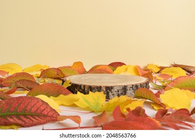 Autumn showcase made of natural wood and autumn foliage. The podium for the presentation of goods and cosmetics is made of wood on a beige background. Minimalistic branding scene. - Shutterstock ID 2048563766