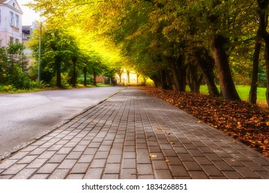Autumn sidewalk with trees and fallen leaves in the city