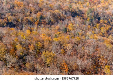 Autumn Sights Along The Blue Ridge Parkway Section In The Appalachian Highlands Between Blowing Rock And Asheville, North Carolina.