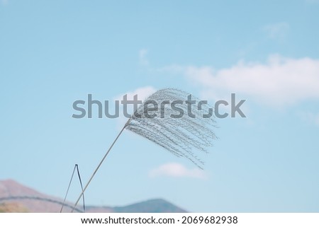Similar – Image, Stock Photo Ferris wheel with fluttering barrier tape in front of it