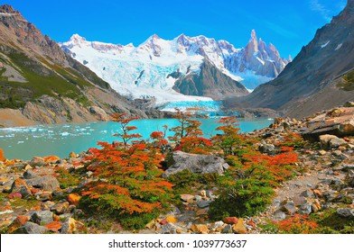 Autumn small trees by the lake near Cerro Torre mountain. Los Glaciares National park. Argentina.