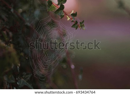 Similar – Image, Stock Photo it greenens… Nature