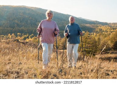 Autumn Sport In Finland - Nordic Walking. Man And Mature Woman Hiking In Fall Sunny Forest. Active People Outdoors