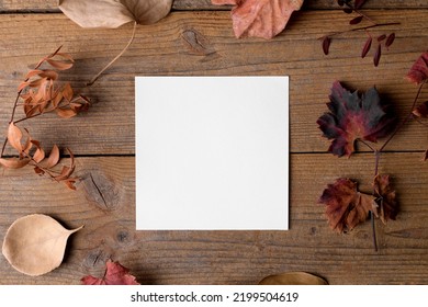 Autumn square blank card mockup for thanksgiving day, DIY invitation, holidays preparation and creativity layout. Thanksgiving mockup greeting card, flat lay, 5x5 ratio - Shutterstock ID 2199504619