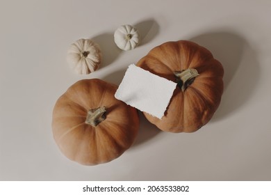 Autumn Still Life. Closeup Of Blank Business Card, Invitation Mockup. Orange And White Pumpkins On Beige Background. Fall Stationery. Halloween, Thanksgiving Holiday. Flat Lay, Top View, No People.