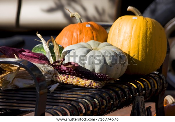 Autumn Still Life Colorful Gourds Decorative Stock Photo Edit Now