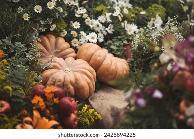 Autumn still life with colorful pumpkins and season flowers. Decorative pumpkins. Harvest, garden decoration.  - Powered by Shutterstock