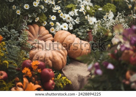 Autumn still life with colorful pumpkins and season flowers. Decorative pumpkins. Harvest, garden decoration. 