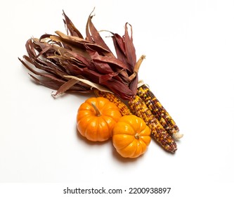 Autumn  Still life of corn and pumpkins isolated on white - Powered by Shutterstock